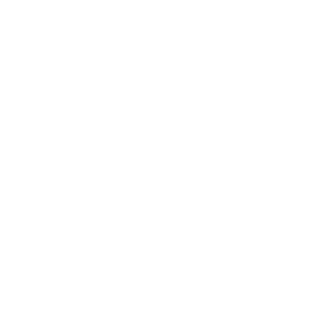 verweist auf: 75 Jahre Bundesamt für Verfassungsschutz Logo - 75 Jahre Bundesamt für Verfassungsschutz
