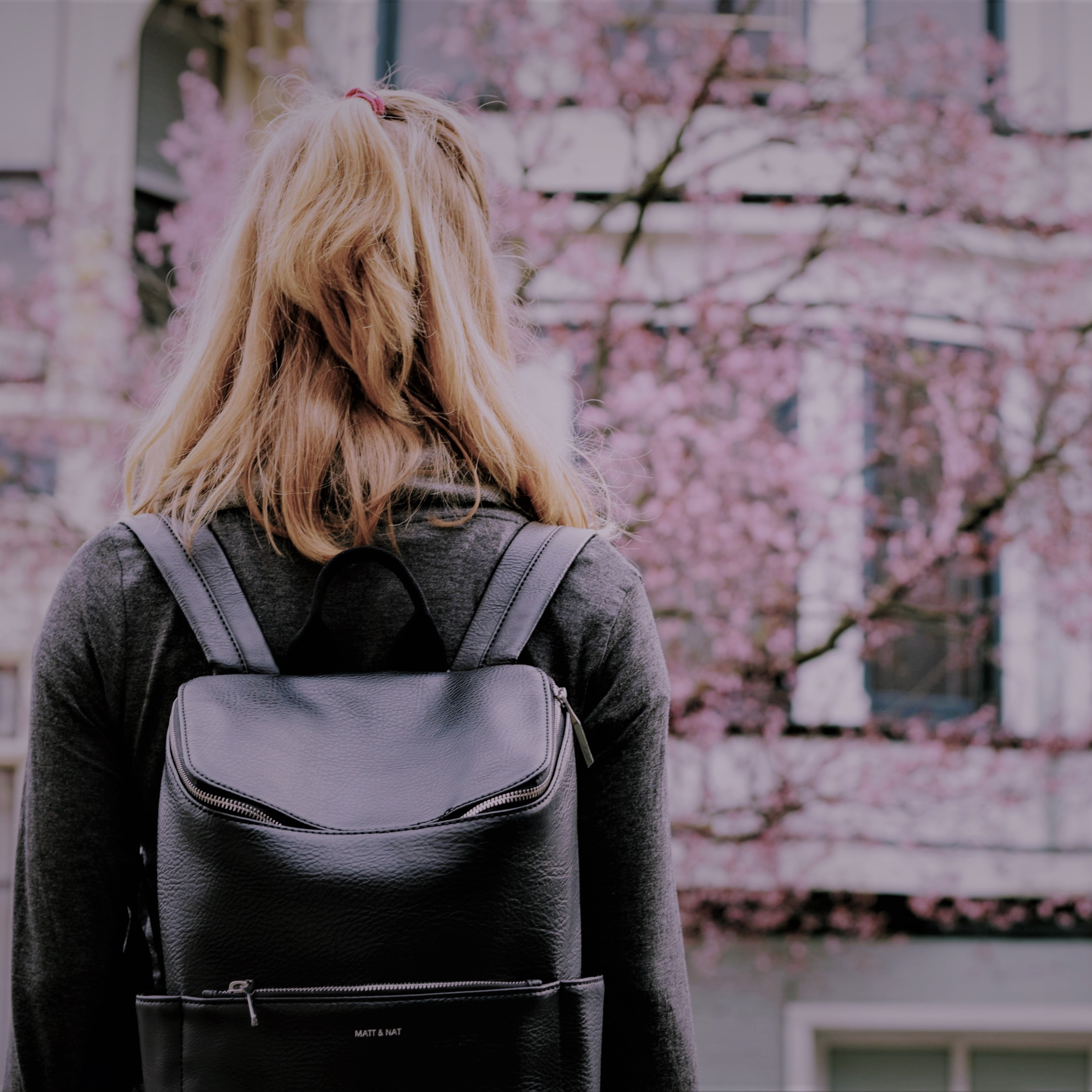 Das Bild zeigt die Rückansicht einer weiblichen Person, die einen Rucksack trägt und vor einem Haus steht, vor dem ein Baum blüht (Quelle: tim-gouw-ScWvHUtQca4/Unsplash) Das Bild zeigt die Rückansicht einer weiblichen Person, die einen Rucksack trägt und vor einem Haus steht, vor dem ein Baum blüht