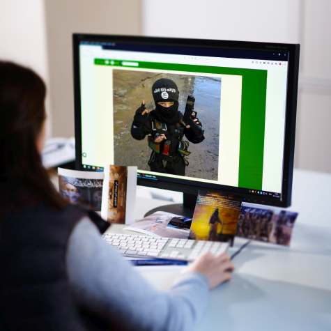 The recording shows Internet propaganda that is being processed/observed at the BfV. Image of a desk, the monitor shows clear propaganda of the IS.  (Source: Bundesamt für Verfassungsschutz) The recording shows Internet propaganda that is being processed/observed at the BfV. Image of a desk, the monitor shows clear propaganda of the IS.